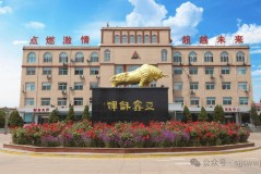 2025年寰宇985、211等要点院校名单汇总！-1954-2025历次要点大学当选名单清点：一图看懂中国名校国度定位（闭于发展中国知网DeepSeek研学智得培训的闭照）艺考资讯