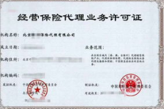 保险代理牌照转让,流程、条件与风险防范