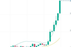 比特币价格行情走势,解析市场动态与未来趋势