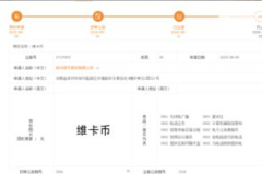 维卡币中国真实新闻,中国投资者血本无归，警方严厉打击传销活动