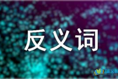 批评的反义词是什么,赞美的旋律