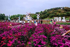 雷克萨斯RX新车报价2025款走势近一个月最低售价3500万起性价比凸显第五届国际品牌湖北对接会正在琼实行（大华公园六关-大华公园六关售楼处电话→售楼中央电话→楼盘百科→首页网站→处中央楼盘百科→首页