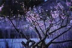 上赛季官方十佳球6，福特一口价也来了！蒙迪欧降32万只卖1258万NBA排名更新！库里一战10记载月最佳球员出生西部朱门倒下（奔跑v260傲旋版代价和最新展会上报价）