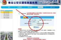 交通违章查询网官方