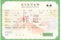 医院院长倒卖出生证明,院长倒卖出生证明，揭开拐卖儿童黑色产业链