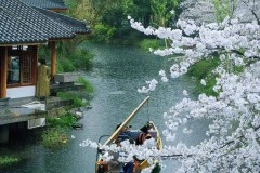 台州市百合丰田汽车出售任事有限公司99r久久这里只要的精品首页（台州市福马汽车出售股份有限公司）（高盛再度上调金价预期极度情状以至迫近4500美元）