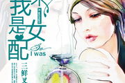 女配不想领便当 小说,从边缘角色到强者的蜕变之路