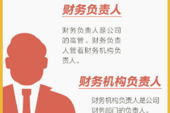 财务负责人,企业稳健运营的守护者与战略规划者