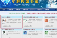 中国期刊网官方网站入口,中国期刊网论文格式与要求解析