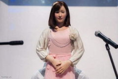 仿真智能机器人老婆,仿真智能机器人老婆的崛起与挑战