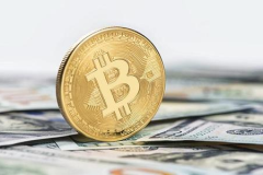 1比特币,从一枚比特币看加密货币的崛起