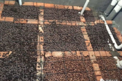 下沉式卫生间陶粒回填,材料选择与施工细节解析