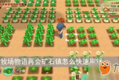 牧场物语矿石镇攻略,全面指南与实用技巧解析