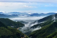 寰宇985高校排名出炉浙大第3西安交大挤进前10北师大跌至18（哈尔滨剑桥学院顿国强博士录取“2024中国知网高被引学者TOP1%”）