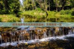 欧冠16强出炉皇马和利物浦成为夺标热点（3球惨败翻盘太难！皇马固然是欧冠逆转王但阿森纳不是曼城巴萨）（售2098万起福特蒙迪欧活动版能否调停市集）？1万把握的面包车幼型车有什么车