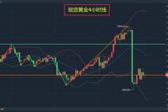 今日黄金行情分析建议最新,操作策略与风险提示