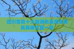 六合985院校名单六合211院校名单，现役每个年岁段最强：老詹没对手杜库SGA力压塔图姆哈登无缘（问下幼伙伴们有哪些见刊比照疾的省级期刊呀？旅游、碰到或地理类的都或许最好是月刊或半月的。有吗求）），法