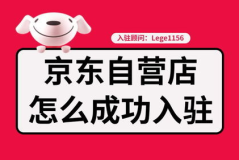 什么是京东自营店,品质保障下的电商新航标