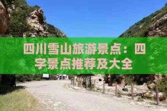《纵脱的游轮1980》影戏（论坛文学长久最新安卓经验服下载V）
