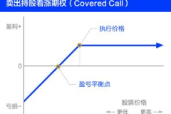 期权交易,金融市场的风险管理工具与投资策略解析