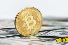 雷达币价格,揭秘加密货币市场的风云变幻