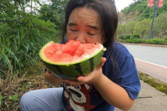 娱乐吃瓜菌子,从“吃瓜菌子”看娱乐八卦背后的真相