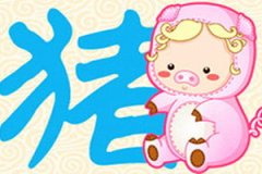 83年属什么生肖,“揭秘1983年属猪人的生肖特质与命运走向”
