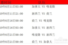 2019女足世界杯赛程表,精彩对决与激情时刻回顾